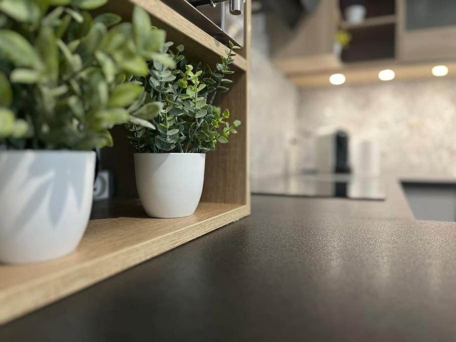 Appartement T2 Vue Panoramique Sur Annecy Seynod Eksteriør billede