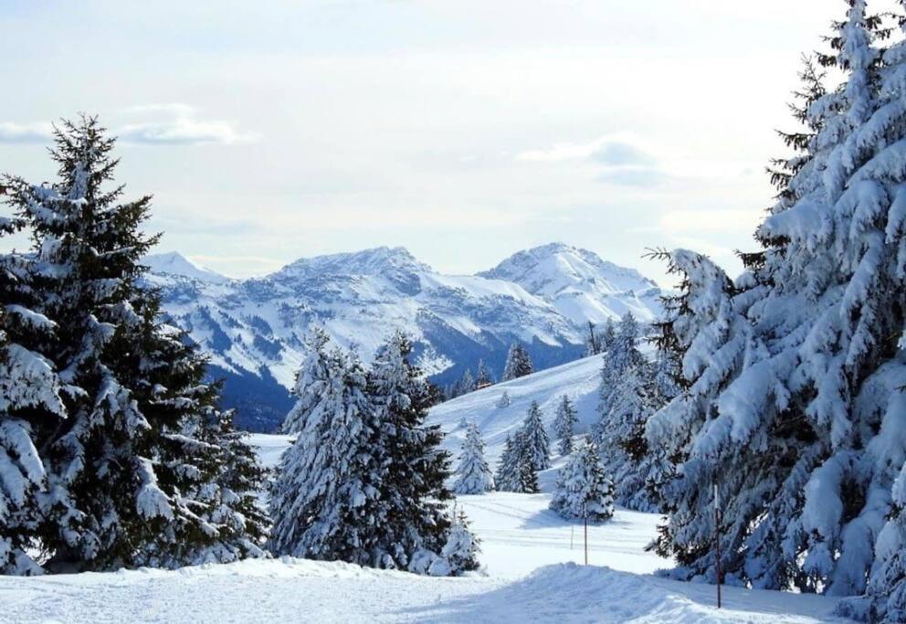 Appartement T2 Vue Panoramique Sur Annecy Seynod Eksteriør billede